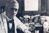 Nahodny objav ktory zmenil svet Alexander Fleming neplanoval revoluciu v medicine