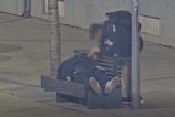 Kamera v Bratislave zachytila zlodeja pri cine Mestsk policajti tvrdia ze okradnutie spiaceho sledovali v priamom prenose