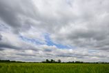 Narodna rada bude rokovat o vysloveni nedovere Robertovi Kalinakovi prehlad oakavanch udalosti