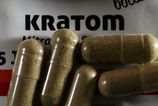 rekordny ulovok v cesku colnici v brne zaistili 800 kilogarmov nelegalneho kratomu