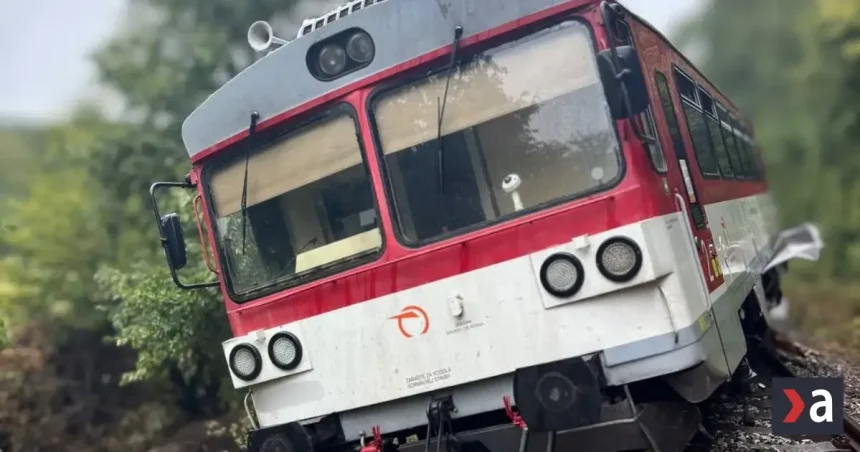 Osobný vlak sa vykoľajil pri Trenčíne po náraze do stromu