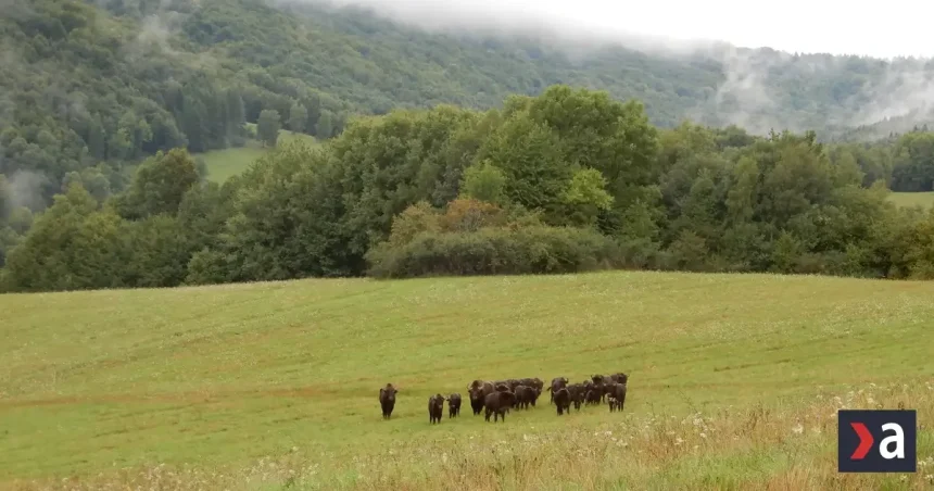 Pondelok bude na Slovensku zamračený, na severe a východe sa objavia prehánky 1 Pondelok bude na Slovensku zamračený, na severe a východe sa objavia prehánky